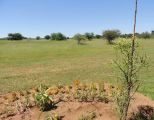 family-unit-garden-view.jpg